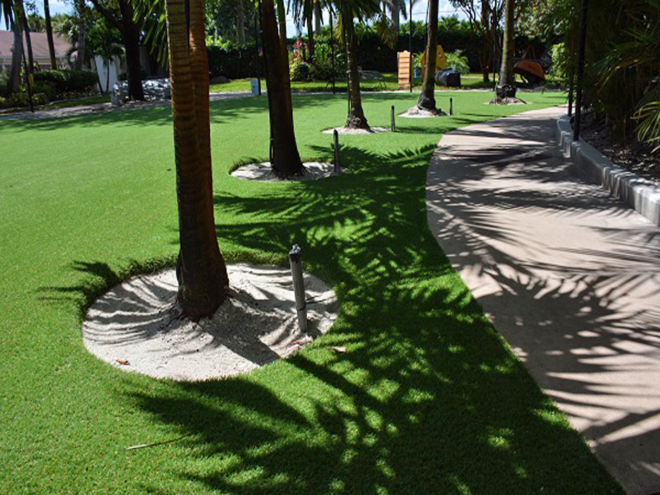 Artificial Grass Patterson, California Dog Run, Commercial Landscape