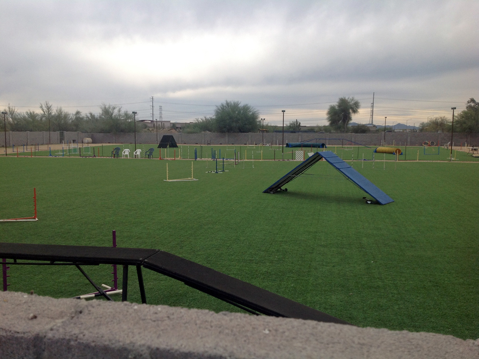 Fake Turf Valley Home, California Red Turf, Recreational Areas