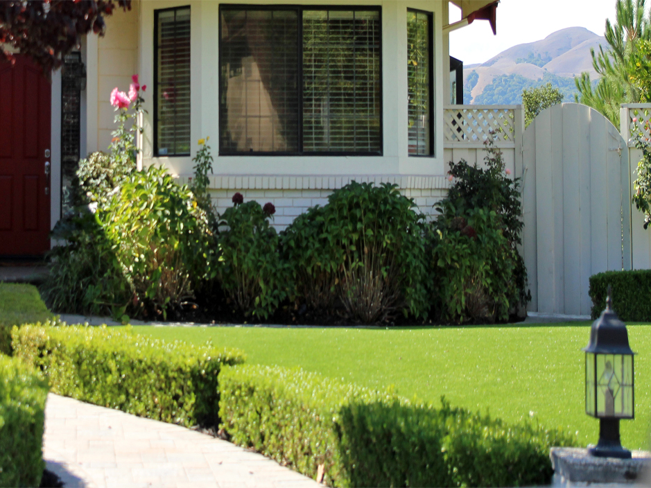 Synthetic Grass Cost Grayson, California Landscaping Ideas Front Yard