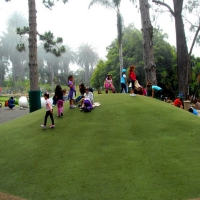 Artificial Grass Hickman, California Landscape Design, Parks