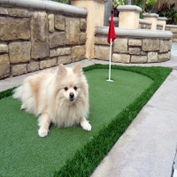 Artificial Grass Installation Bret Harte, California Dog Park, Backyard Landscape Ideas