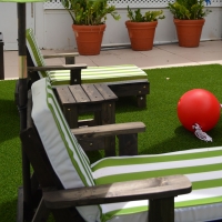 Artificial Grass Salida, California Landscape Design, Patio