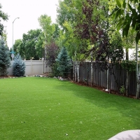 Artificial Turf Bystrom, California Dog Hospital, Backyard Ideas