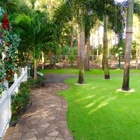 Artificial Turf Cost Bystrom, California Lawns, Backyard Ideas