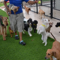 Artificial Turf West Modesto, California Dog Park, Commercial Landscape