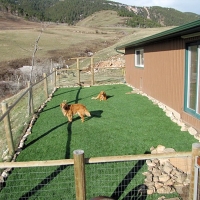 Fake Grass Carpet Shackelford, California City Landscape, Backyard Ideas