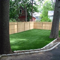 Fake Grass Carpet Waterford, California Paver Patio, Backyard Designs