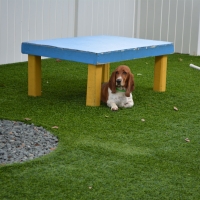 Fake Grass East Oakdale, California Dog Park, Dog Kennels