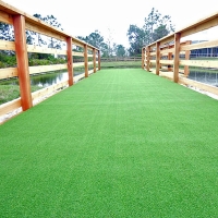 Fake Grass Riverdale Park, California Pet Turf, Commercial Landscape