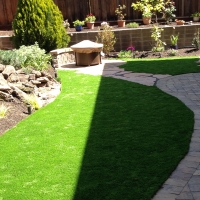 Fake Turf Shackelford, California Landscaping Business