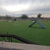 Fake Turf Valley Home, California Red Turf, Recreational Areas