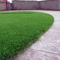 Faux Grass Modesto, California Pet Paradise, Front Yard Design