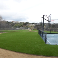 Grass Carpet Bret Harte, California Lawn And Landscape, Commercial Landscape