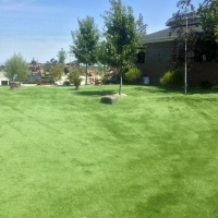 Grass Carpet Ceres, California Artificial Turf For Dogs, Recreational Areas