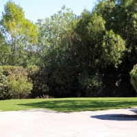 Grass Turf Hughson, California Dog Park, Small Front Yard Landscaping