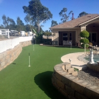 Green Lawn Crows Landing, California Landscape Design, Backyard Landscaping Ideas