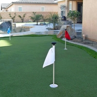 Green Lawn Patterson, California Backyard Playground, Backyard