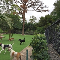 Outdoor Carpet Turlock, California Backyard Playground, Commercial Landscape