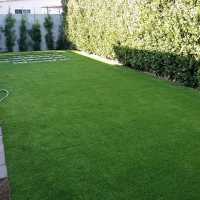 Synthetic Grass Cost Empire, California Pet Grass, Backyard Ideas