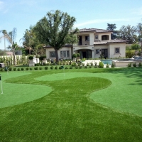 Synthetic Lawn Empire, California Gardeners, Front Yard Ideas