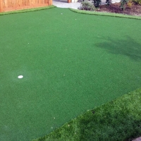 Synthetic Turf Crows Landing, California Design Ideas