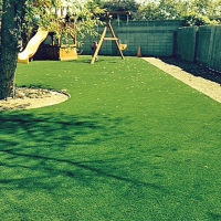 Synthetic Turf Hickman, California Indoor Playground, Backyard Landscaping