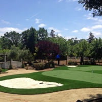 Synthetic Turf Supplier Newman, California Office Putting Green, Front Yard Landscaping Ideas