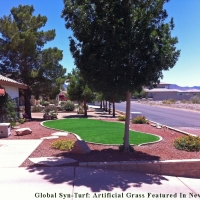 Synthetic Turf West Modesto, California Landscape Ideas, Front Yard Landscape Ideas