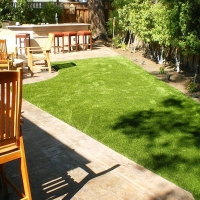 Turf Grass Oakdale, California Pet Grass, Backyard Design