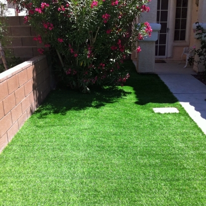 Artificial Grass Carpet Denair, California Lawn And Landscape, Front Yard Landscaping Ideas