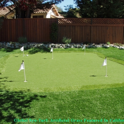 Artificial Grass Carpet Keyes, California Paver Patio, Backyard Landscape Ideas