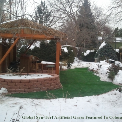Artificial Grass Carpet Patterson, California Lawns, Backyard Ideas