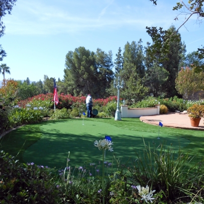 Artificial Grass Carpet West Modesto, California How To Build A Putting Green, Backyard Landscape Ideas