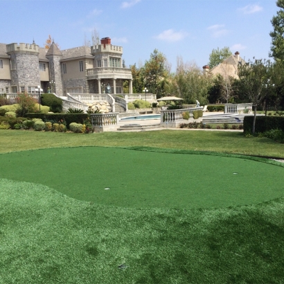 Artificial Grass Empire, California Landscaping Business, Front Yard Landscaping Ideas