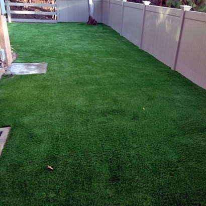 Artificial Grass Newman, California Hotel For Dogs, Backyard Designs