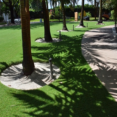 Artificial Grass Patterson, California Dog Run, Commercial Landscape