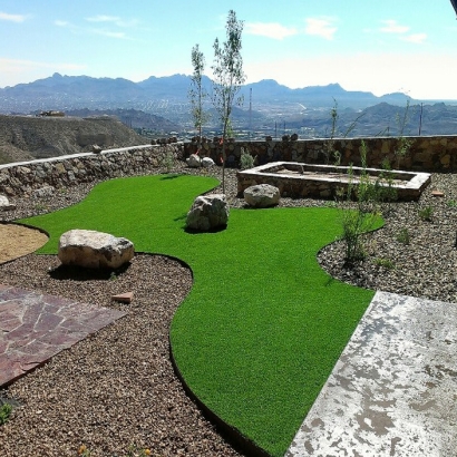 Artificial Grass Riverdale Park, California Landscape Design, Backyard Makeover