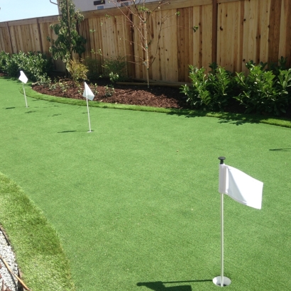 Artificial Grass Turlock, California Artificial Putting Greens, Backyard Makeover