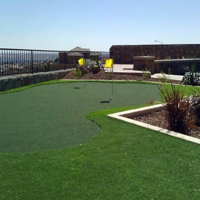 Artificial Lawn Crows Landing, California Landscape Ideas