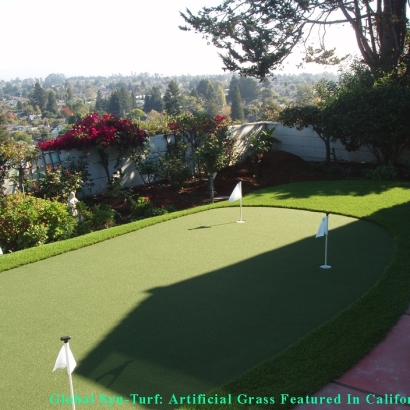 Artificial Lawn Del Rio, California Artificial Putting Greens, Backyard Makeover