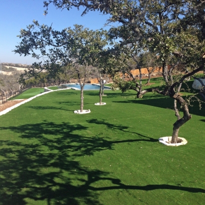 Artificial Lawn Grayson, California Backyard Playground, Beautiful Backyards
