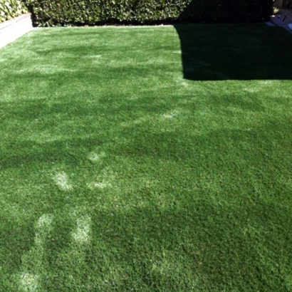 Artificial Lawn Keyes, California Cat Grass, Backyard Designs