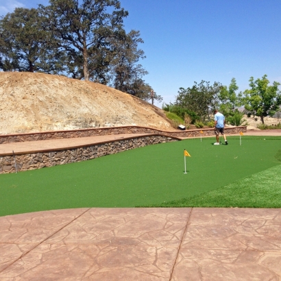 Artificial Lawn Riverbank, California Putting Green Grass, Backyard Garden Ideas