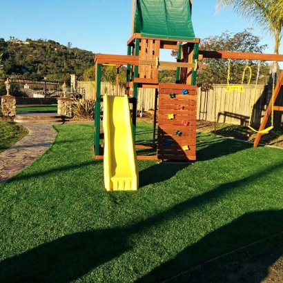 Artificial Lawn Riverdale Park, California Backyard Deck Ideas, Backyard Landscaping Ideas