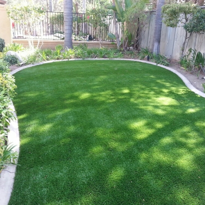 Artificial Lawn Riverdale Park, California Backyard Playground