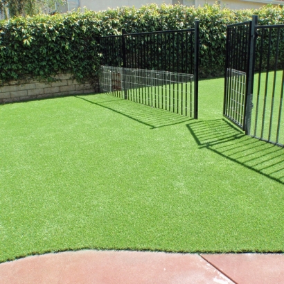 Artificial Lawn Valley Home, California Indoor Dog Park, Front Yard Ideas