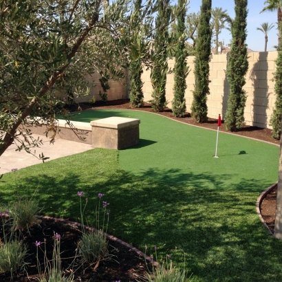 Artificial Lawn Waterford, California Putting Green Flags, Backyards