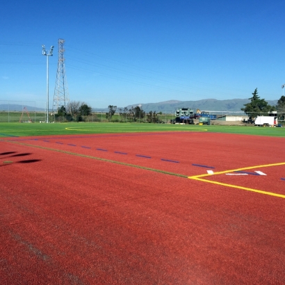 Artificial Lawn Waterford, California Stadium