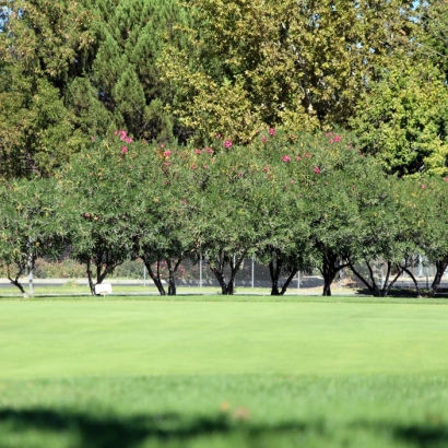 Artificial Turf Cost Grayson, California Paver Patio