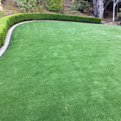 Artificial Turf Cost Keyes, California Landscaping Business, Small Backyard Ideas